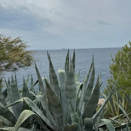 Parque de Campismo Marty House *