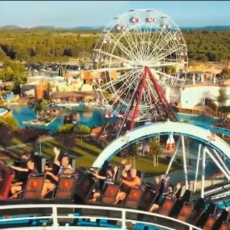 Marty House * 드라게