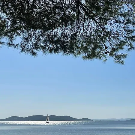 Marty House 캠프장 드라게