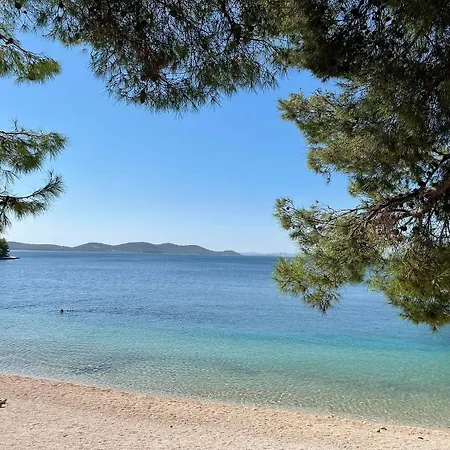 캠프장 Marty House *