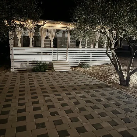 Marty House * Drage