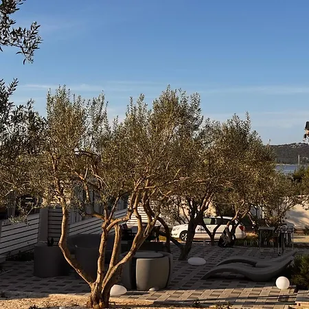 Marty House דראגה