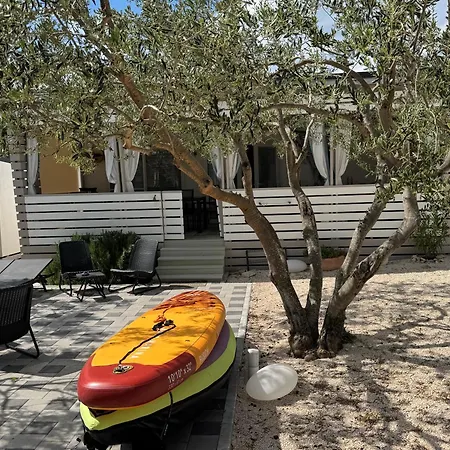 Marty House דראגה