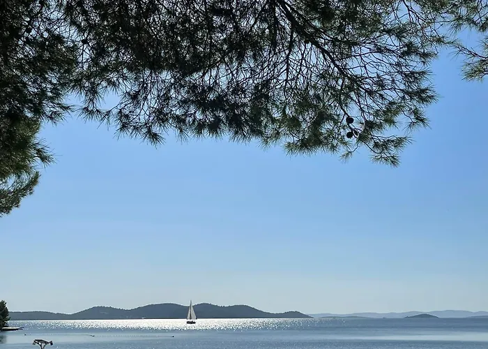 Marty House Kemp Drage